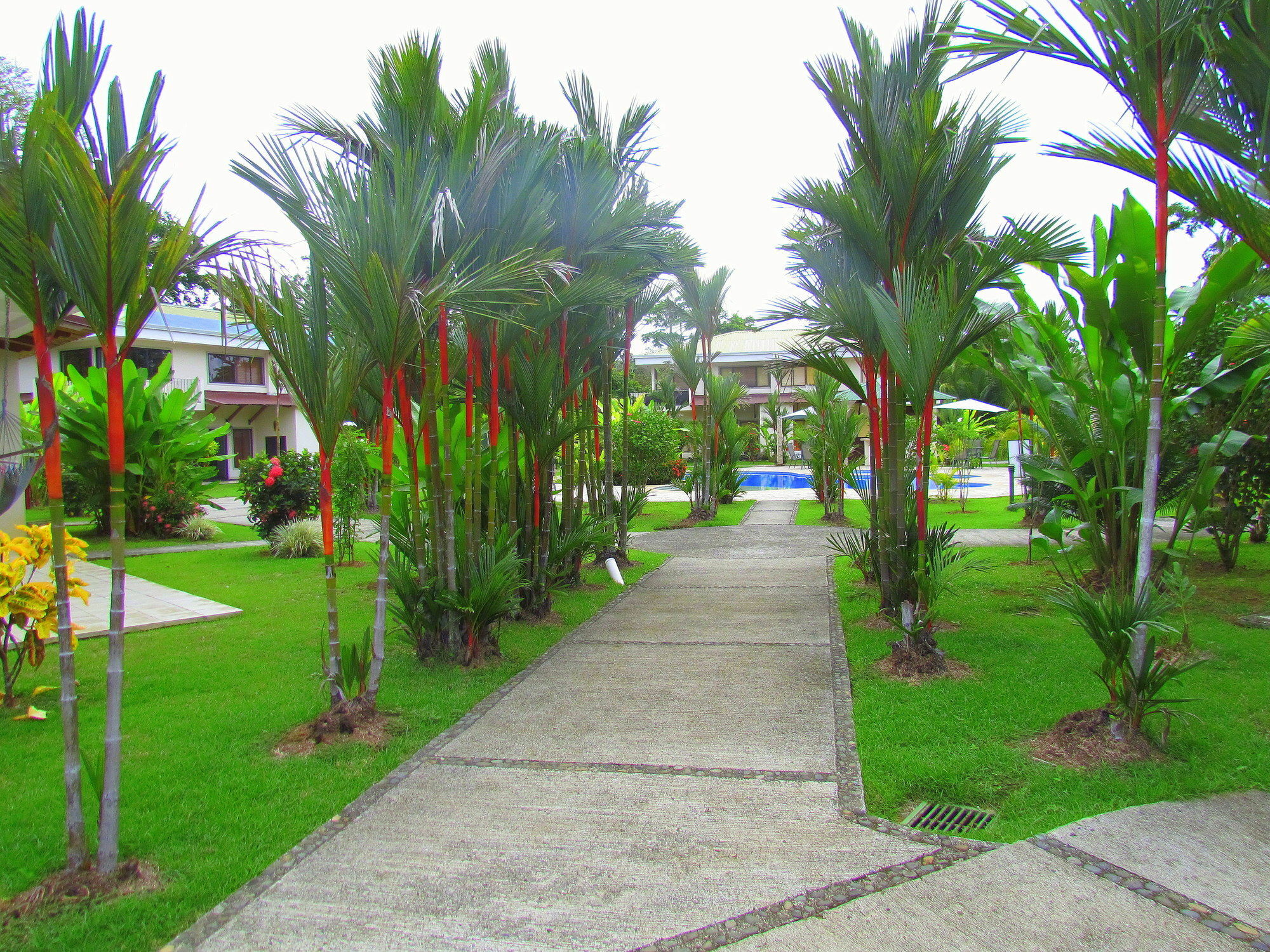 Villas Hacienda Pacifica Quepos Esterno foto